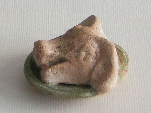 Pig’s head - (4771)